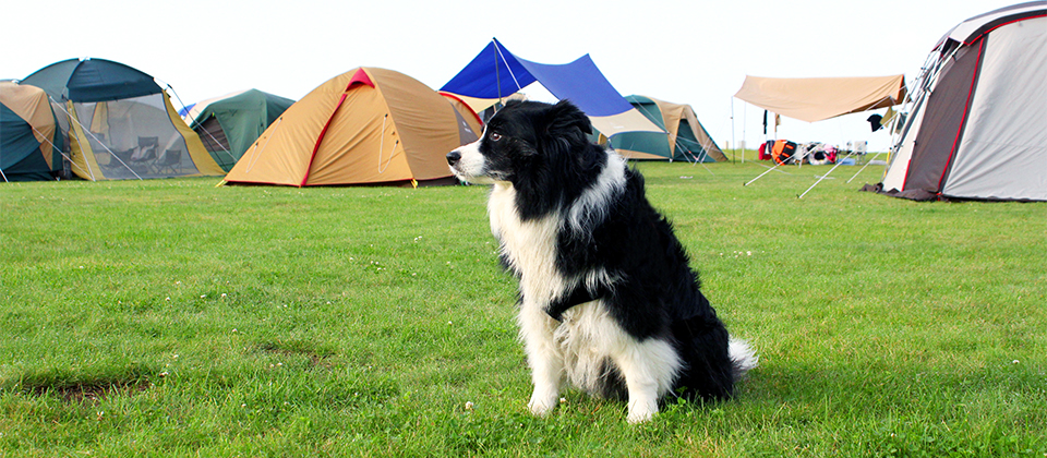 グランピングは平日やオフシーズンの対策も重要