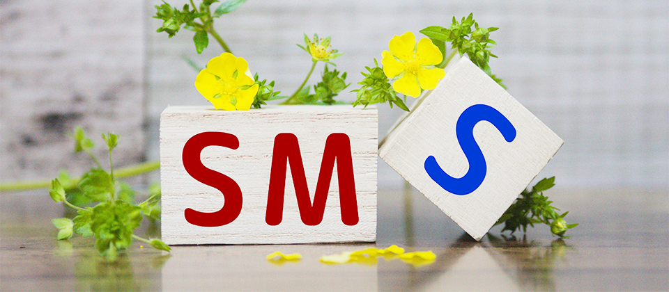 SMSとは?
